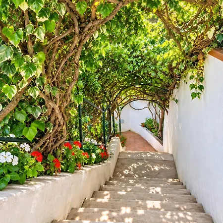 Bellavilla A * Sorrento